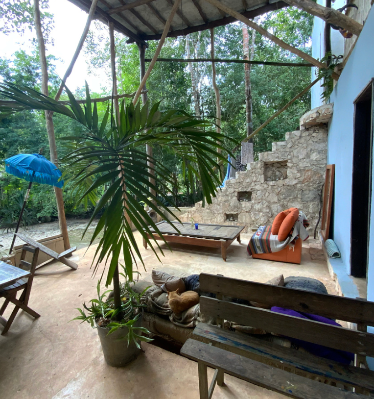 🌿 PROYECTO SUSTENTABLE EN LA SELVA – QUALIA TULUM